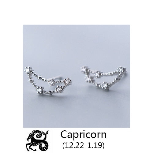 Silver Constellation Stud Earrings